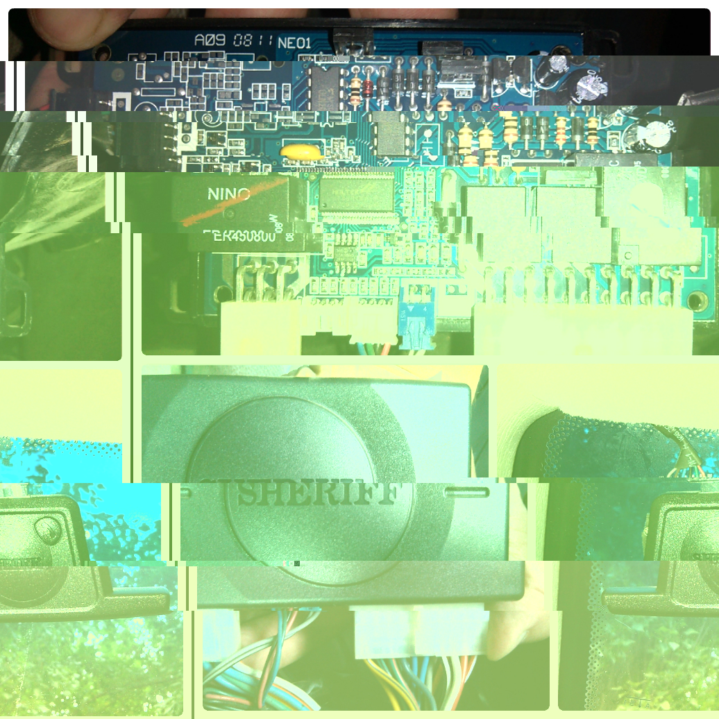 collage_photocat.jpg